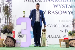 Wystawa Shelby Międzynarodowa Łódź 18-19.11.2023